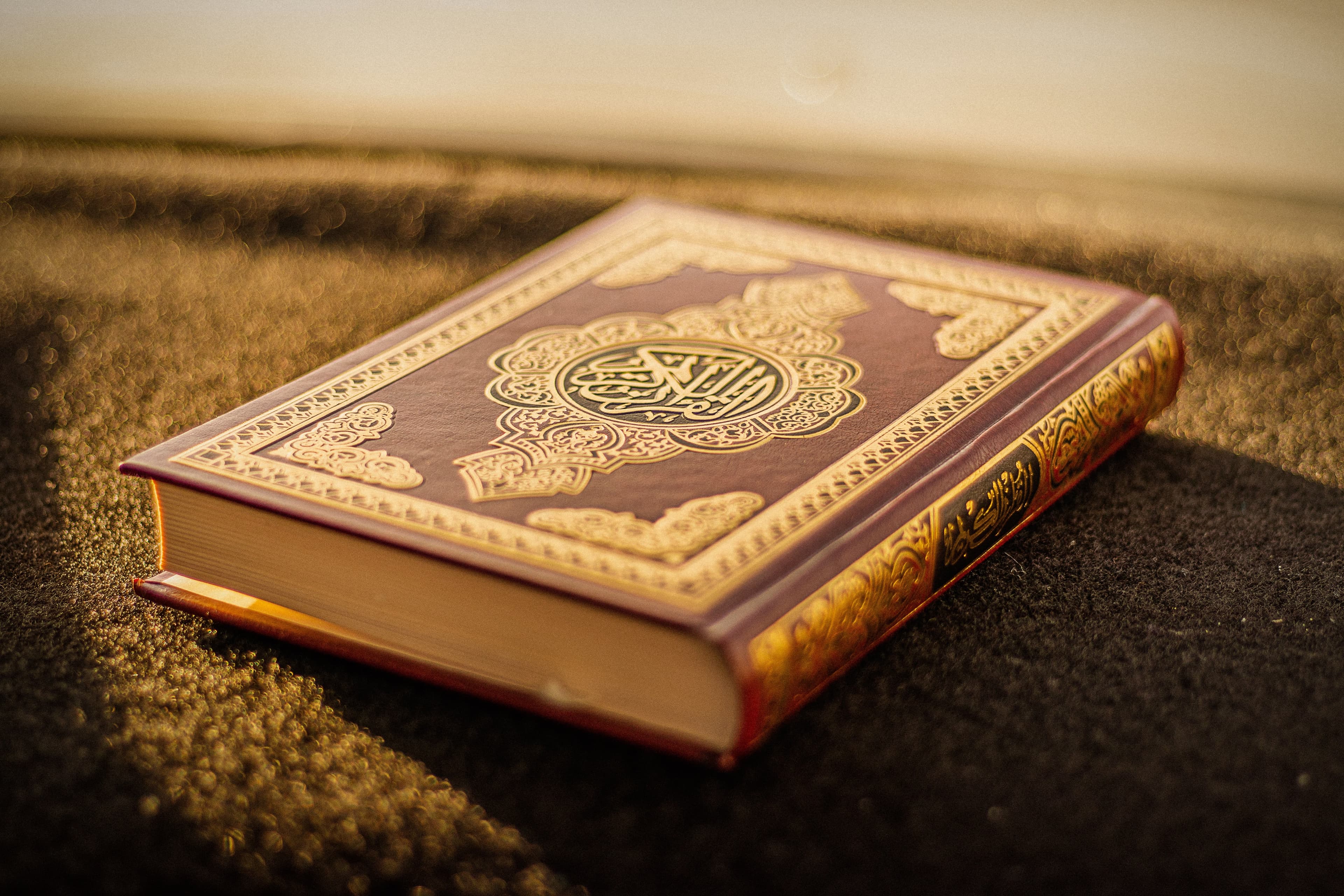 Adult learning to read the Quran from scratch
